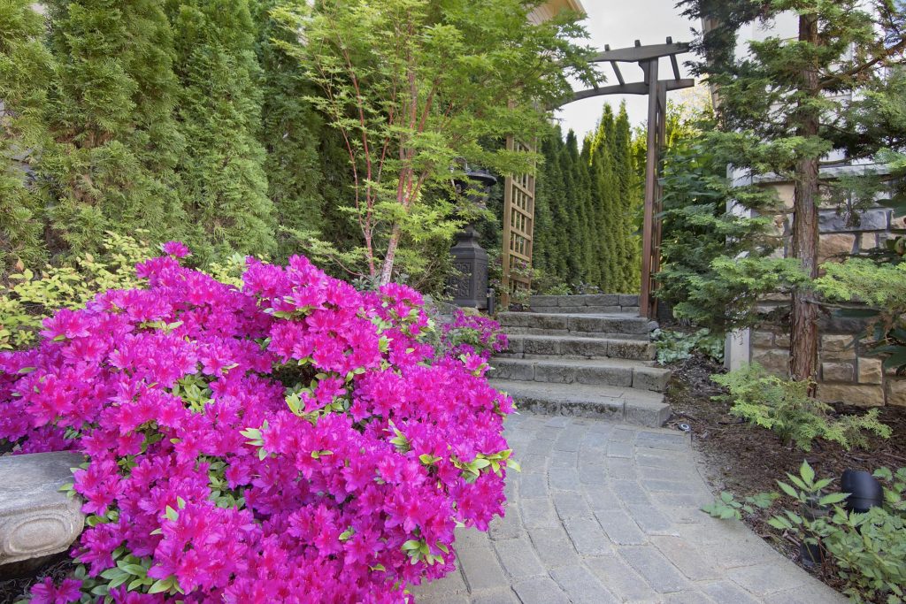 concrete brick tiles for pathway surrounded with flowers and plants
